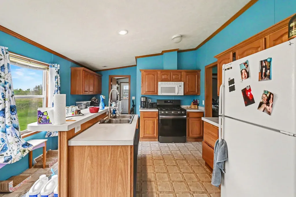 10952 Frost Road Danby Township MI 48875