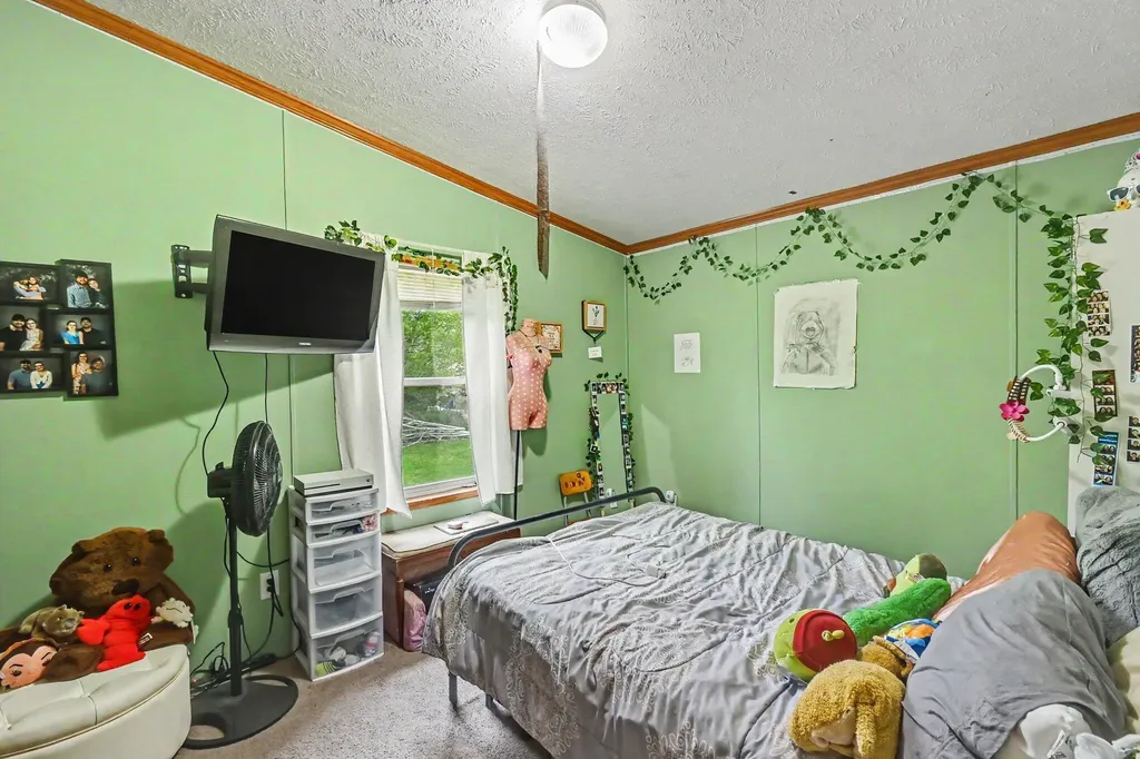 10952 Frost Road Danby Township MI 48875