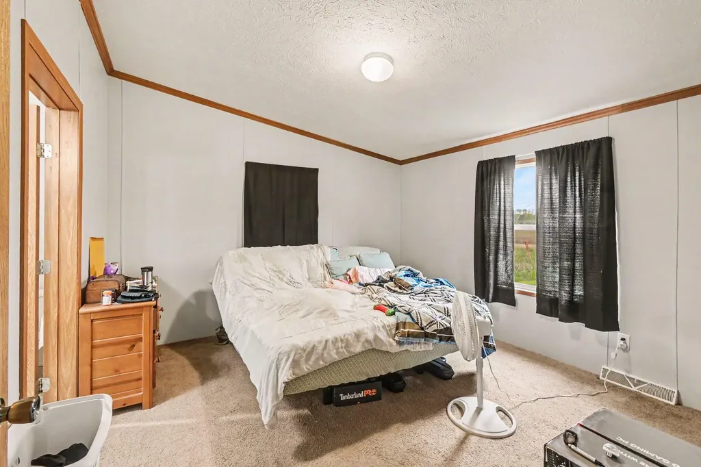 10952 Frost Road Danby Township MI 48875