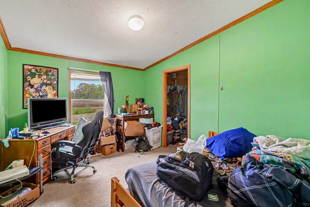 10952 Frost Road Danby Township MI 48875