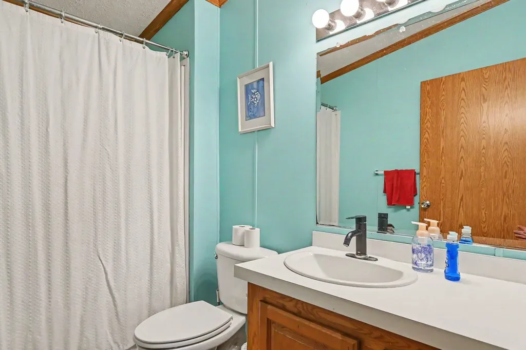 10952 Frost Road Danby Township MI 48875