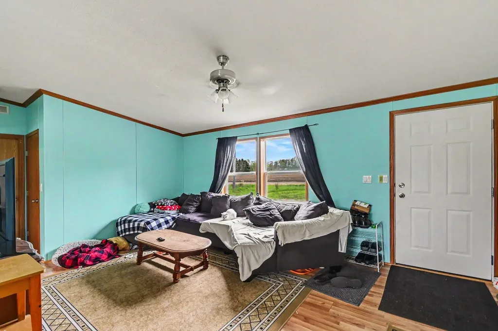 10952 Frost Road Danby Township MI 48875