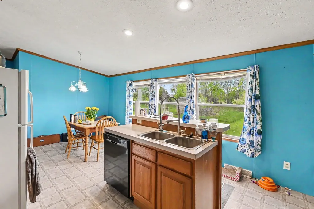 10952 Frost Road Danby Township MI 48875