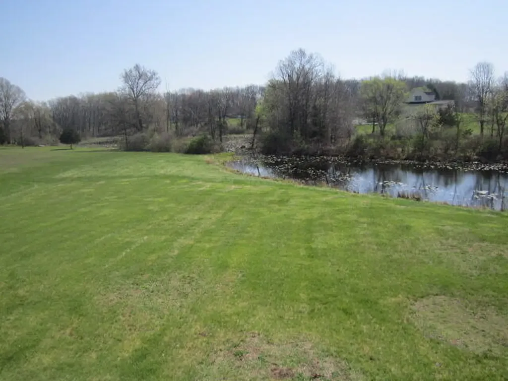 16946 11 1/2 Mile Road Emmett Charter Township MI 49014