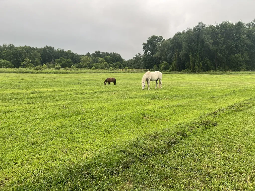 19250 Homer Road Eckford Township MI 49068
