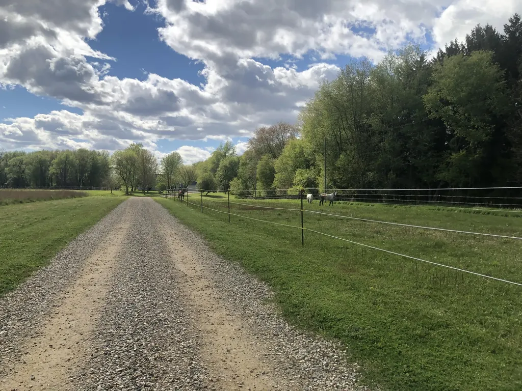 19250 Homer Road Eckford Township MI 49068