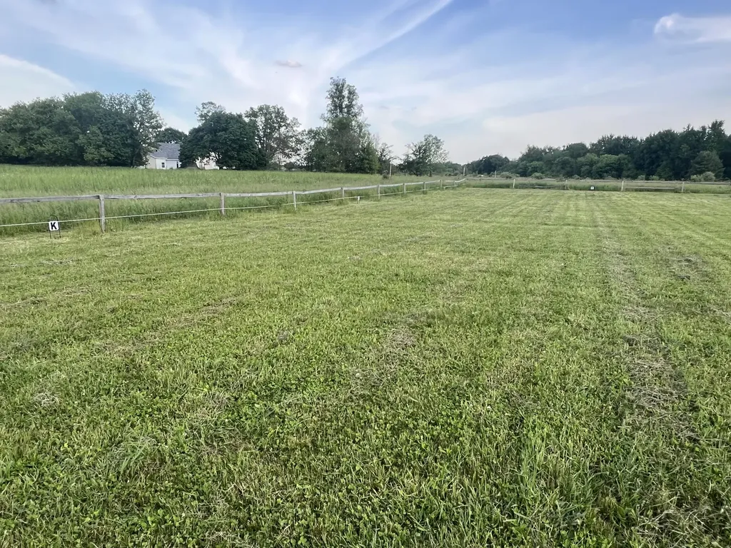 19250 Homer Road Eckford Township MI 49068