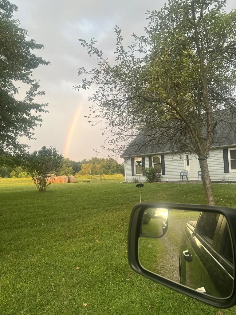 19250 Homer Road Eckford Township MI 49068