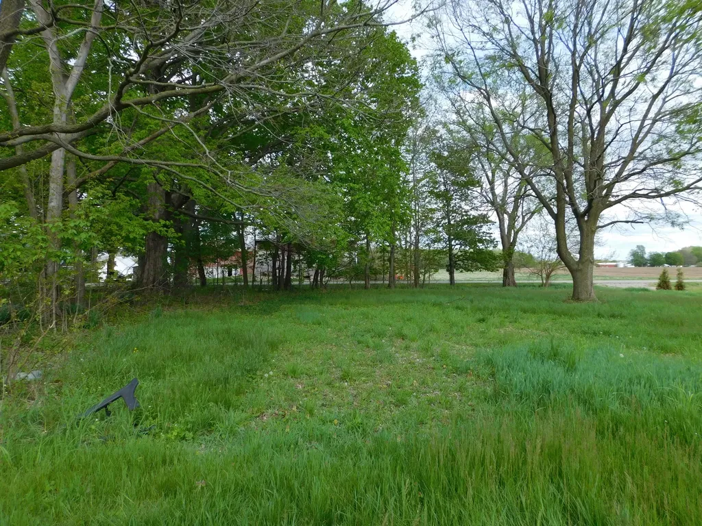 174 S Fillmore Road Ovid Township MI 49036