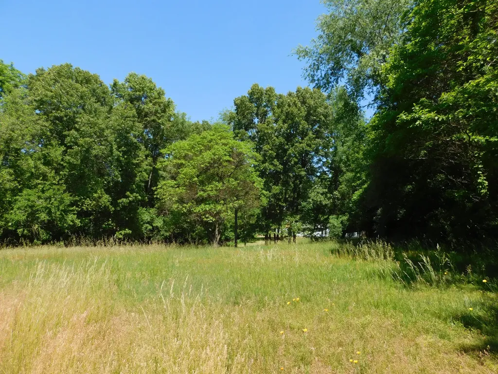 27134 Deerfield Lane Jefferson Township MI 49112