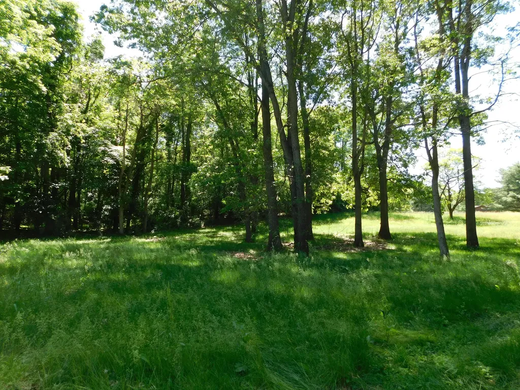 27134 Deerfield Lane Jefferson Township MI 49112