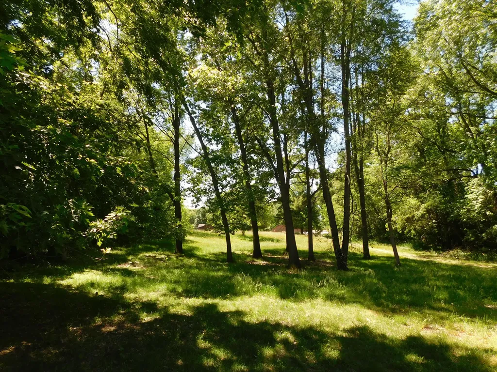 27134 Deerfield Lane Jefferson Township MI 49112