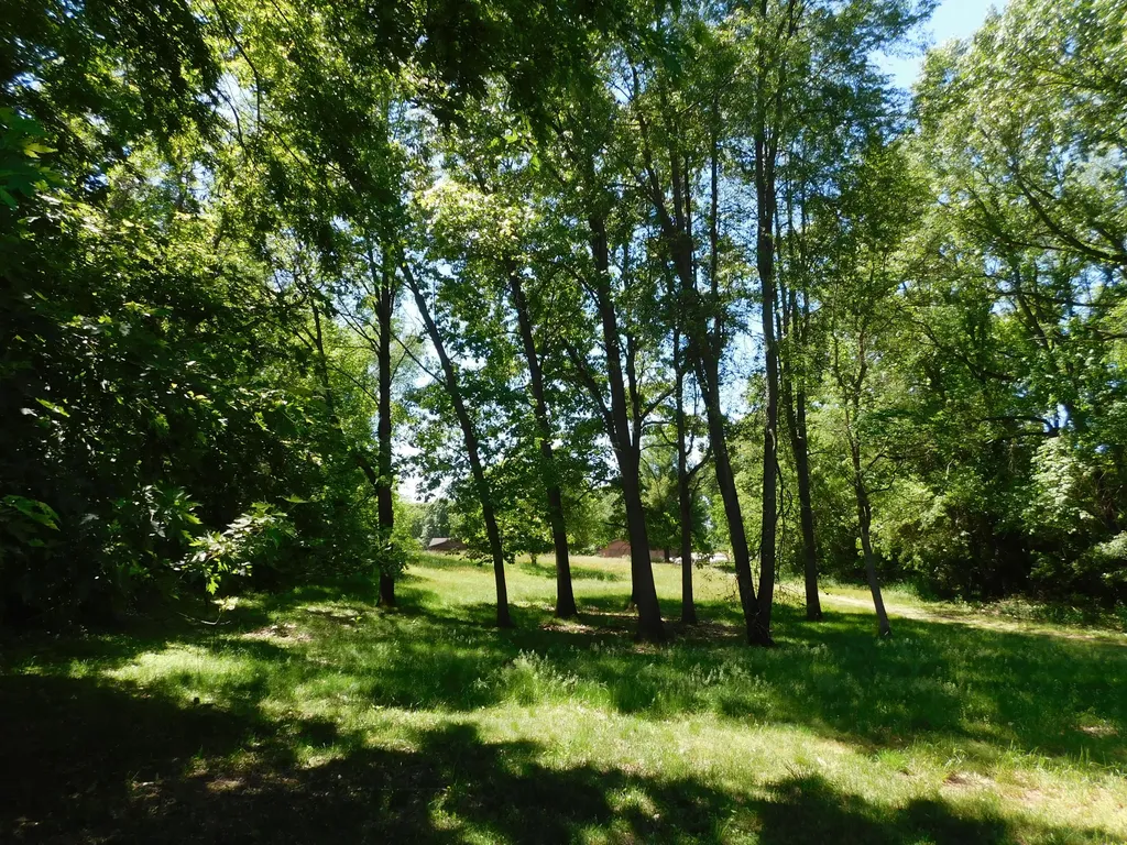 27134 Deerfield Lane Jefferson Township MI 49112