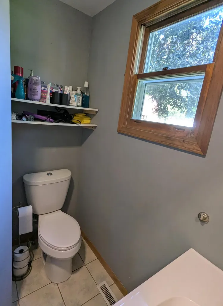 619 N Williams Street Bellevue Village MI 49021