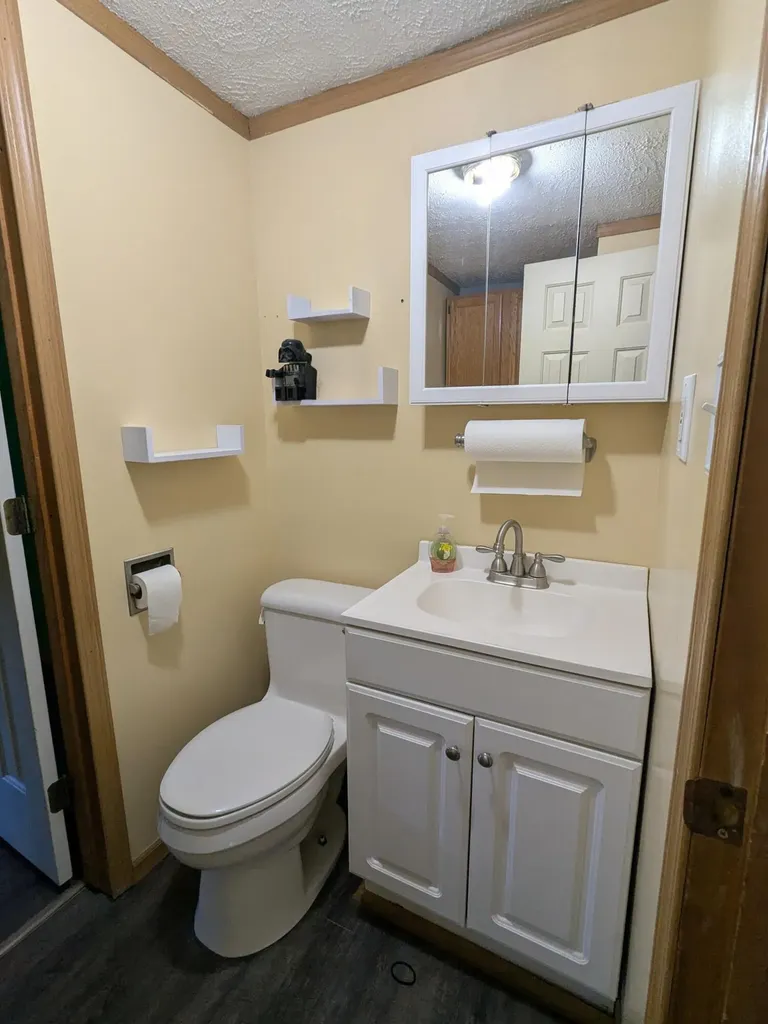 619 N Williams Street Bellevue Village MI 49021