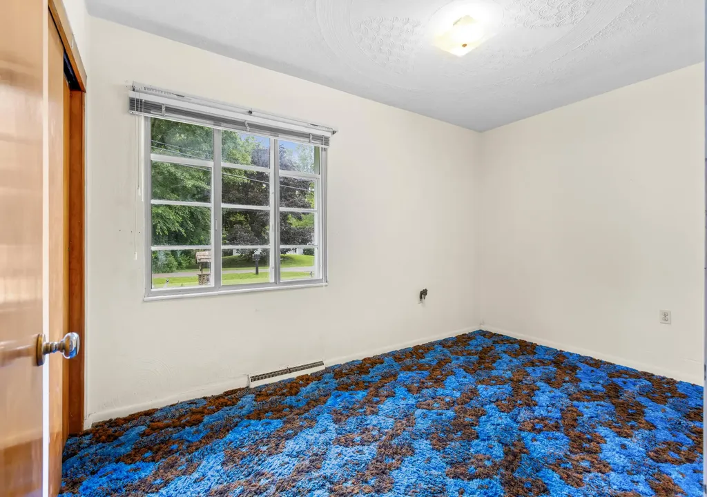 207 Snow Avenue Bedford Charter Township MI 49037