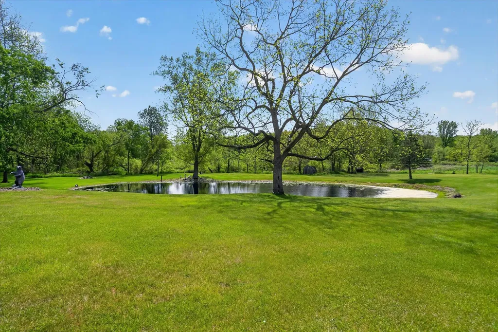 21172 29 1/2 Mile Road Clarence Township MI 49284