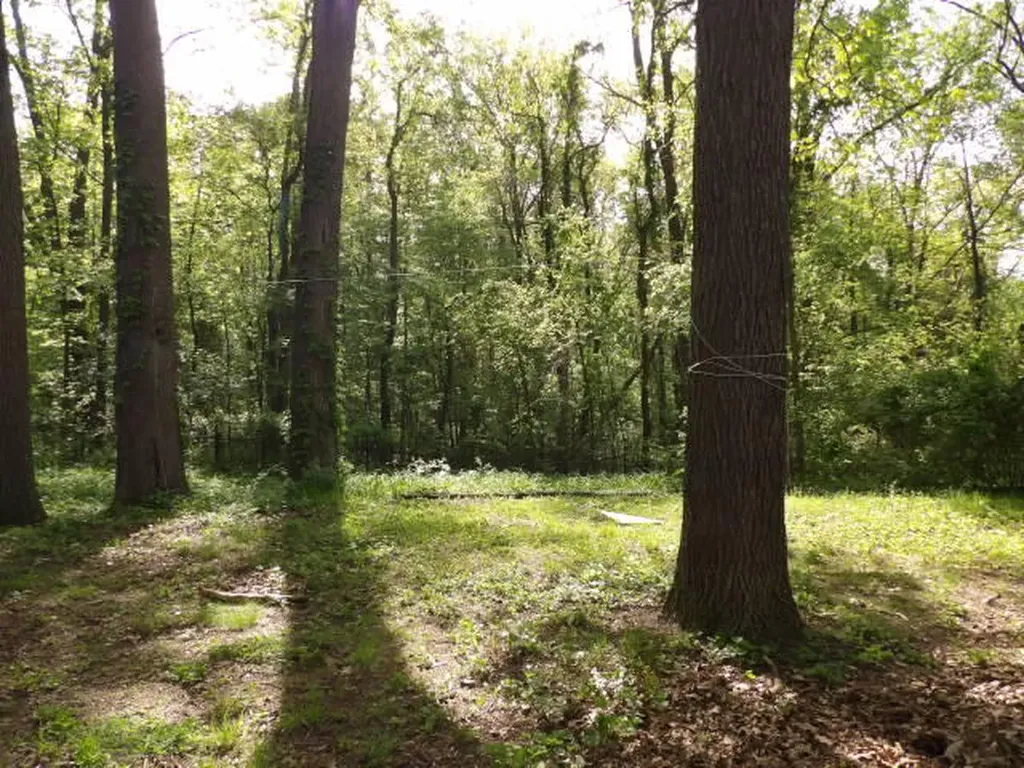 835 Woodland Beach Emmett Charter Township MI 49014