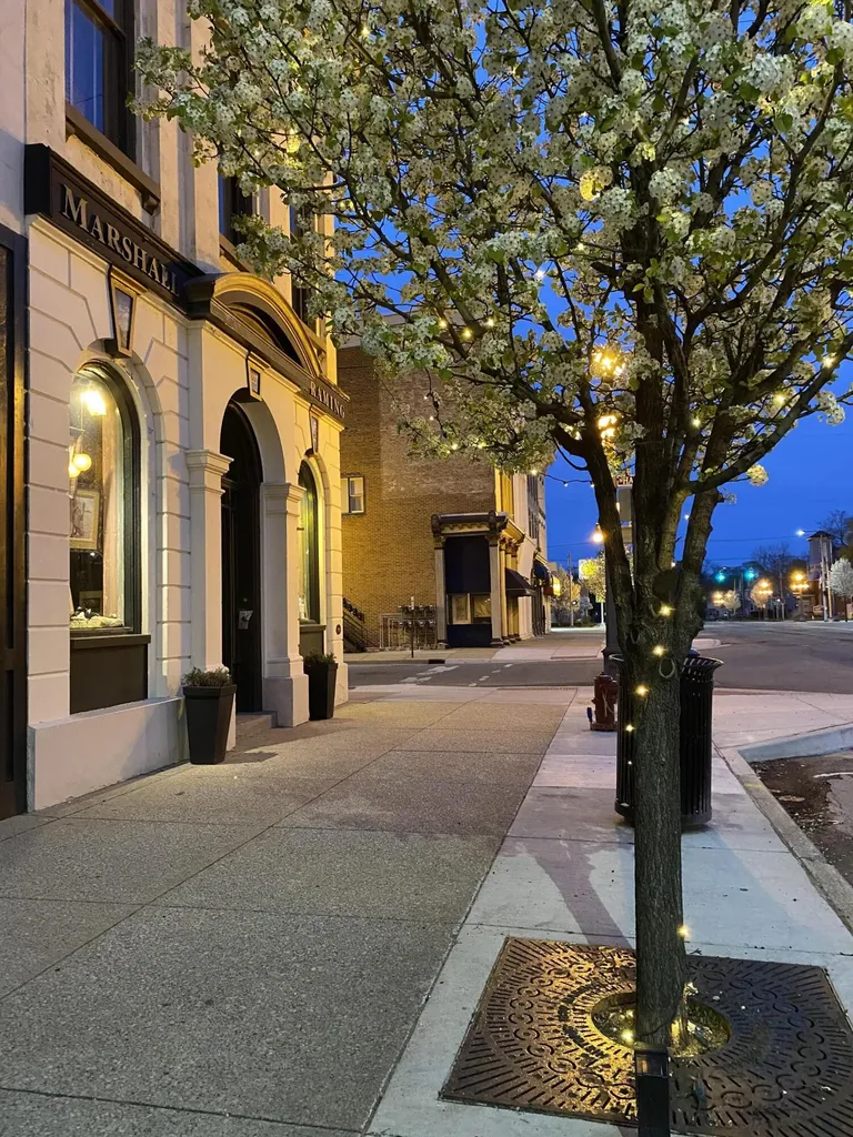 227 E Michigan Avenue Marshall City MI 49068