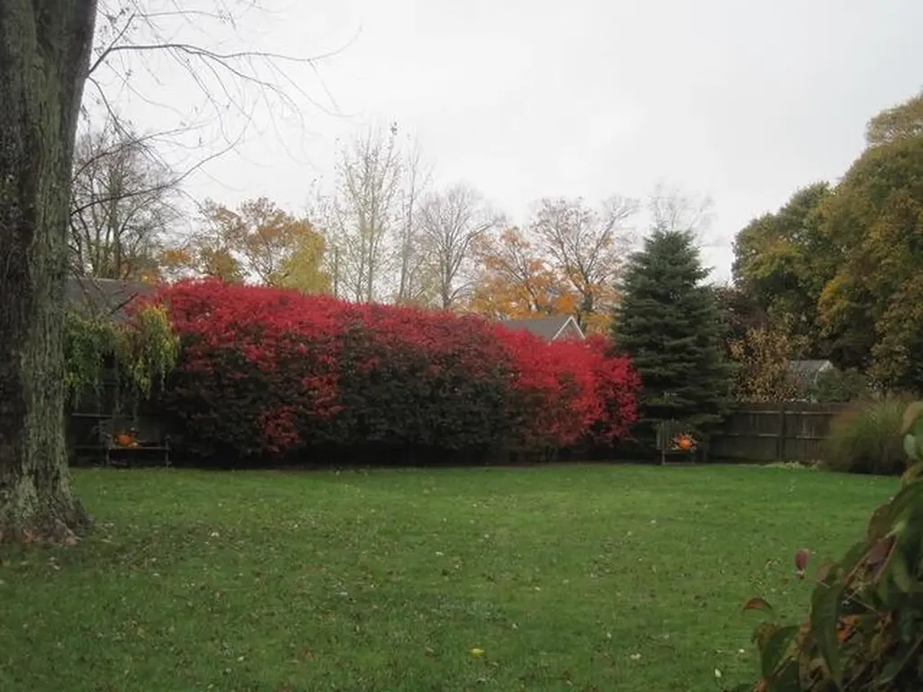 519 E Spruce Street Marshall City MI 49068