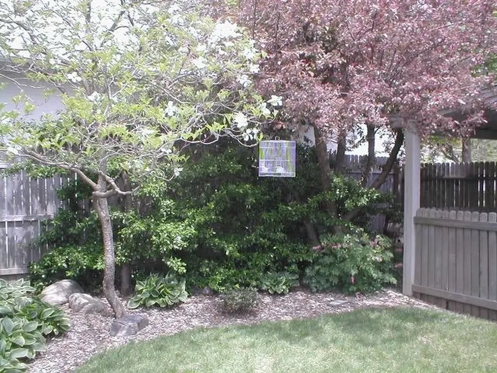 519 E Spruce Street Marshall City MI 49068