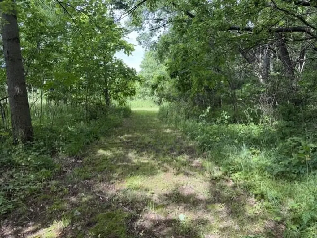 3406 W Shore Drive Johnstown Township MI 49017