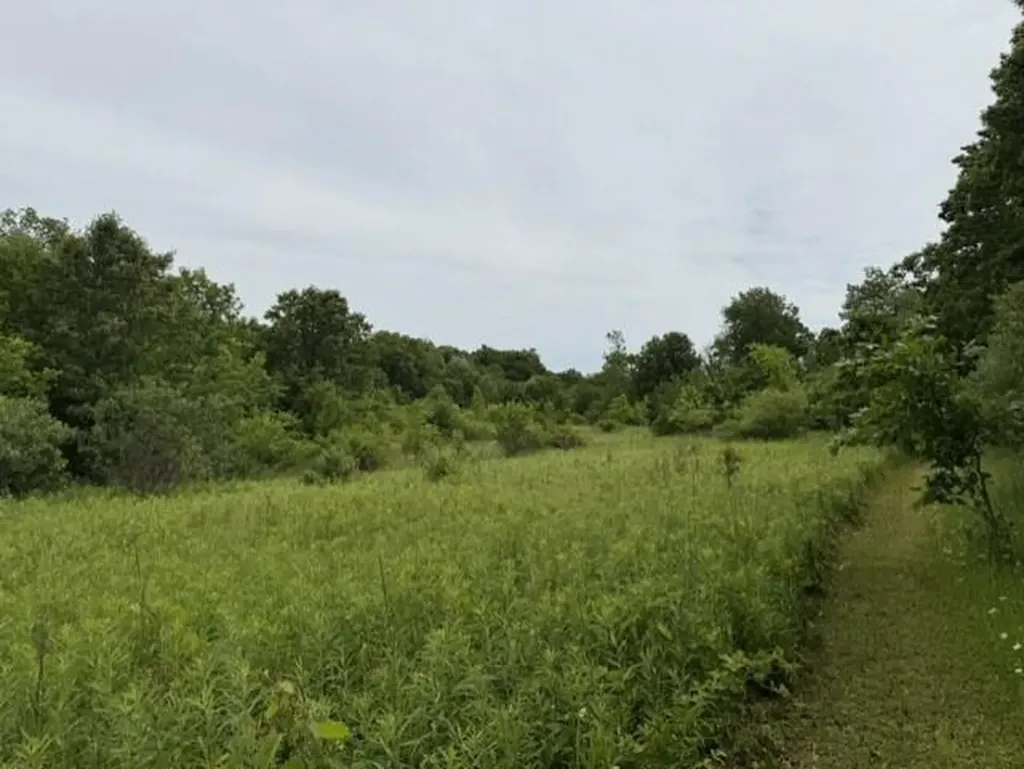 3406 W Shore Drive Johnstown Township MI 49017