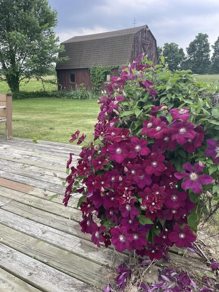 3990 26 1/2 Mile Road Homer Township MI 49245