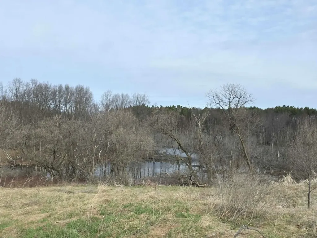 12409 Bellevue Road Convis Township MI 49014