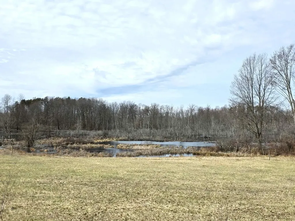 12409 Bellevue Road Convis Township MI 49014