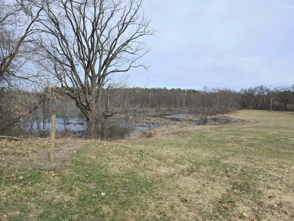 12409 Bellevue Road Convis Township MI 49014