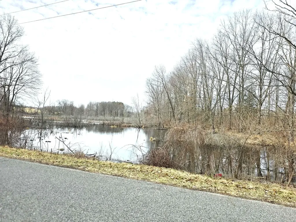 12409 Bellevue Road Convis Township MI 49014