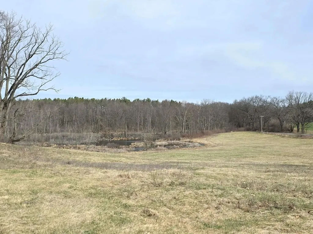 12409 Bellevue Road Convis Township MI 49014