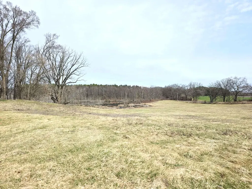 12409 Bellevue Road Convis Township MI 49014