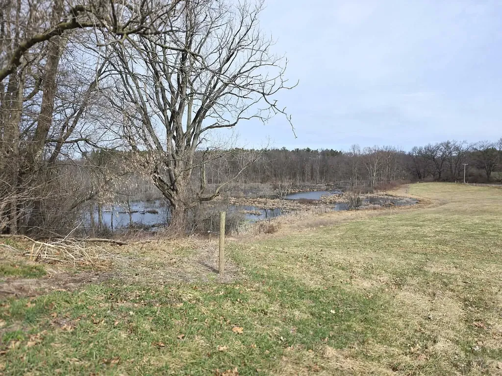 12409 Bellevue Road Convis Township MI 49014