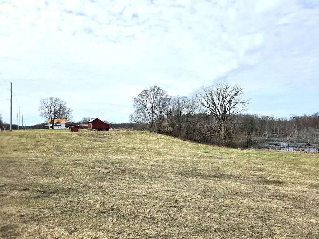 12409 Bellevue Road Convis Township MI 49014