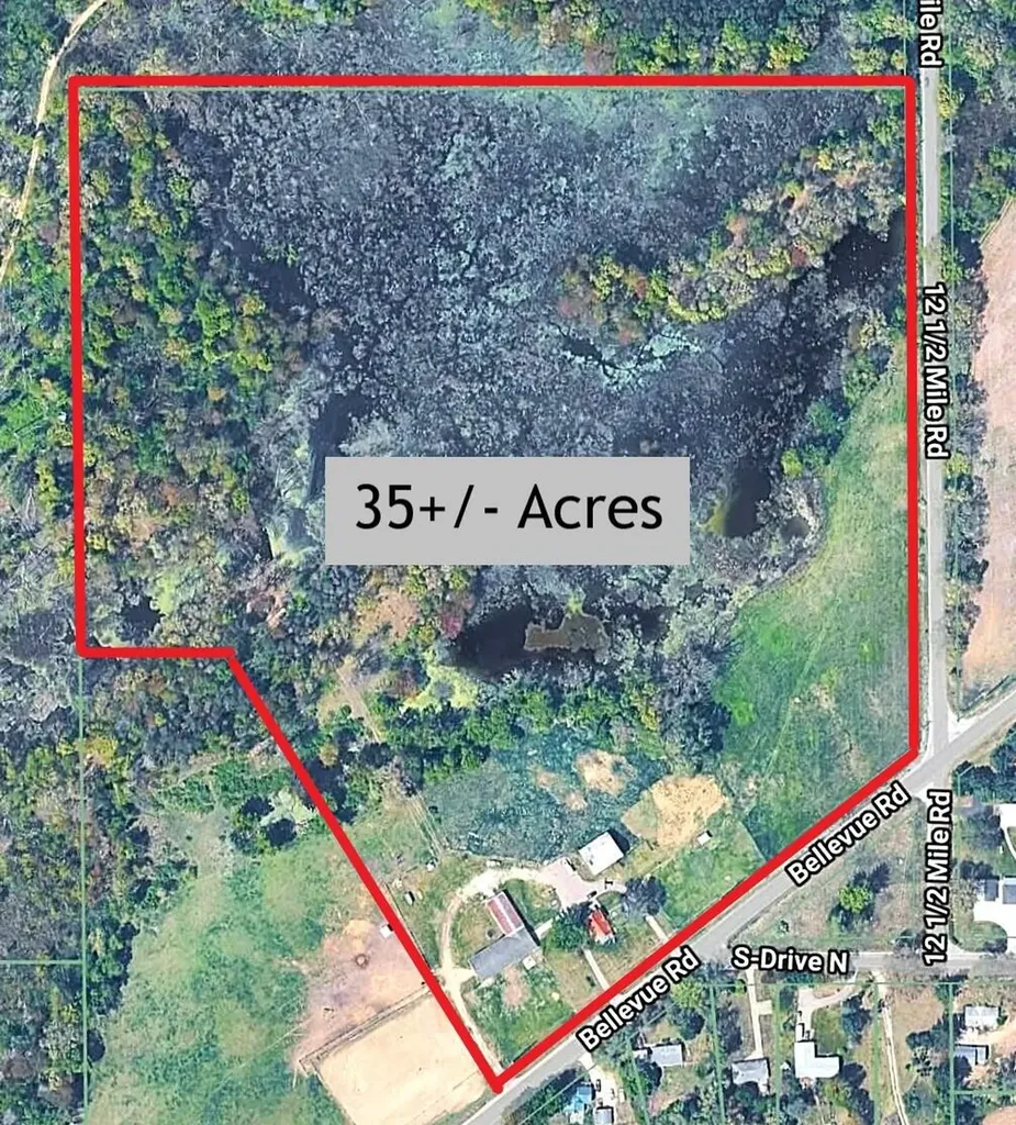 12409 Bellevue Road Convis Township MI 49014