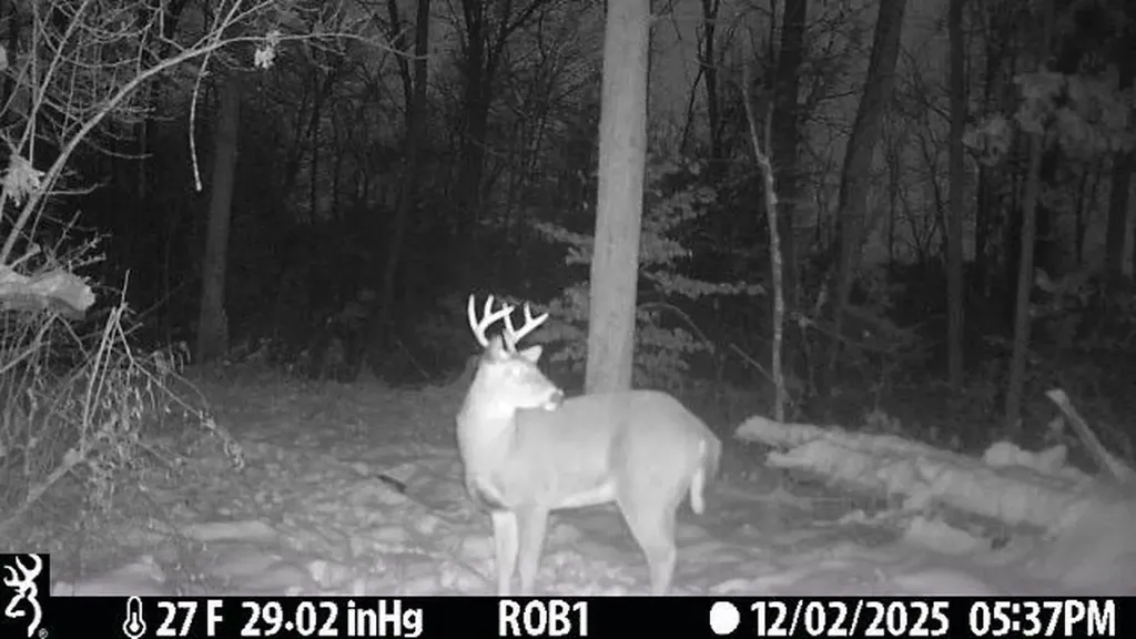 12409 Bellevue Road Convis Township MI 49014