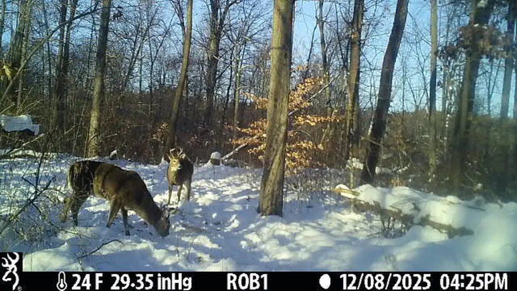 12409 Bellevue Road Convis Township MI 49014