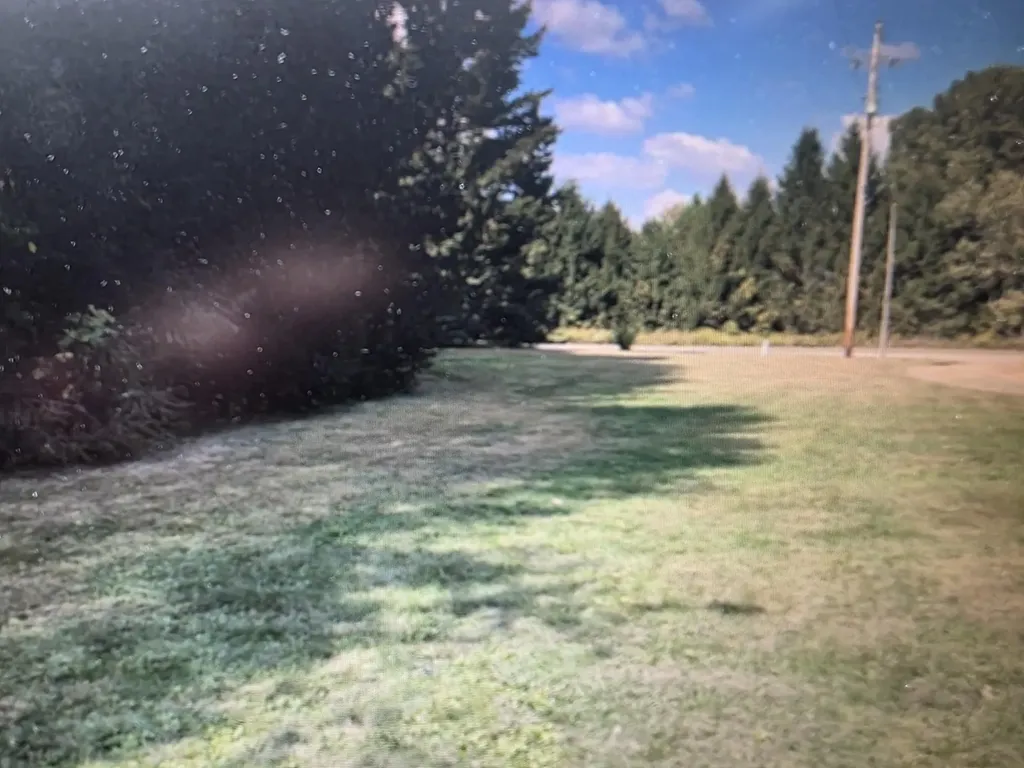 29510 S Drive N Clarendon Township MI 49284