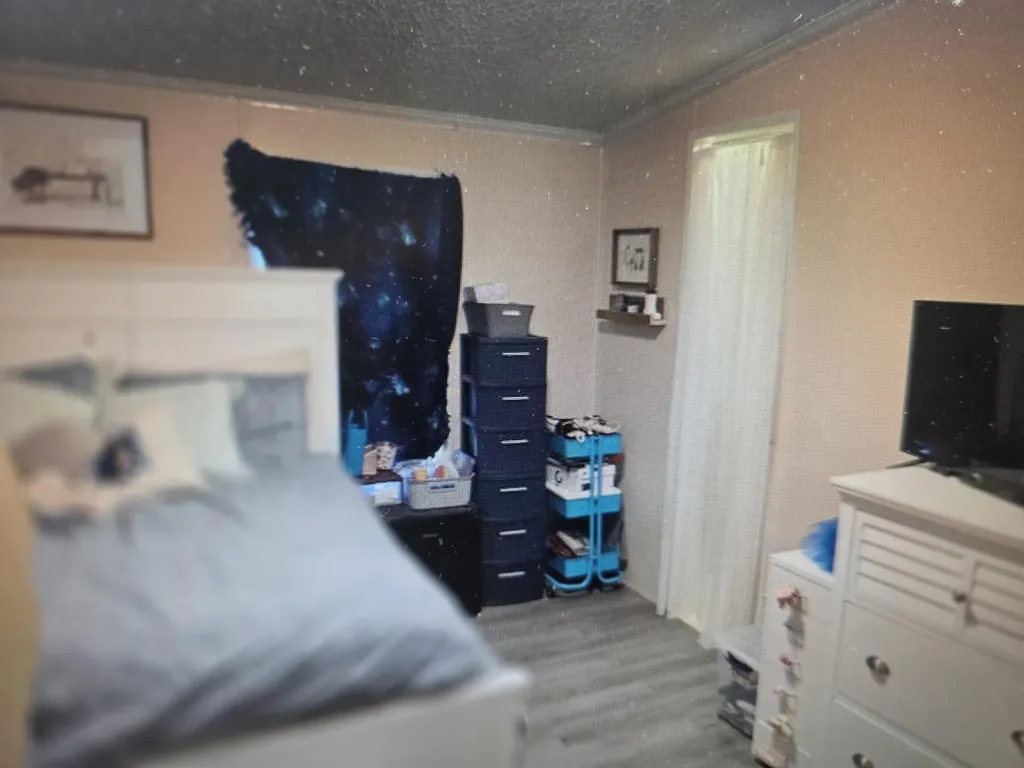 29510 S Drive N Clarendon Township MI 49284