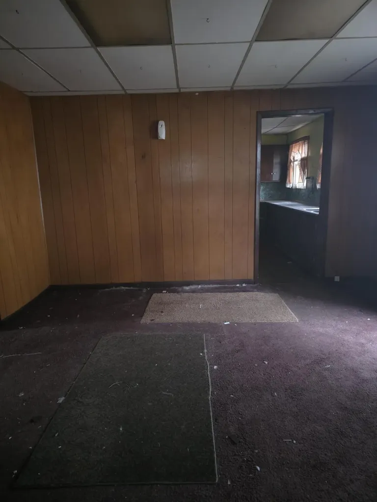 113 W Walnut Street Albion Township MI 49224