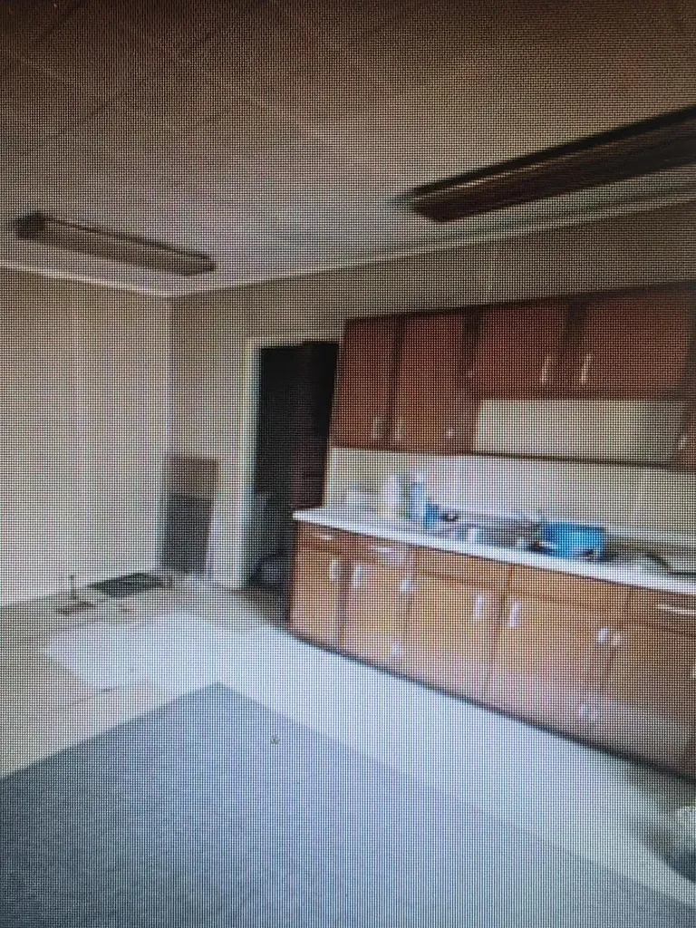 113 W Walnut Street Albion Township MI 49224