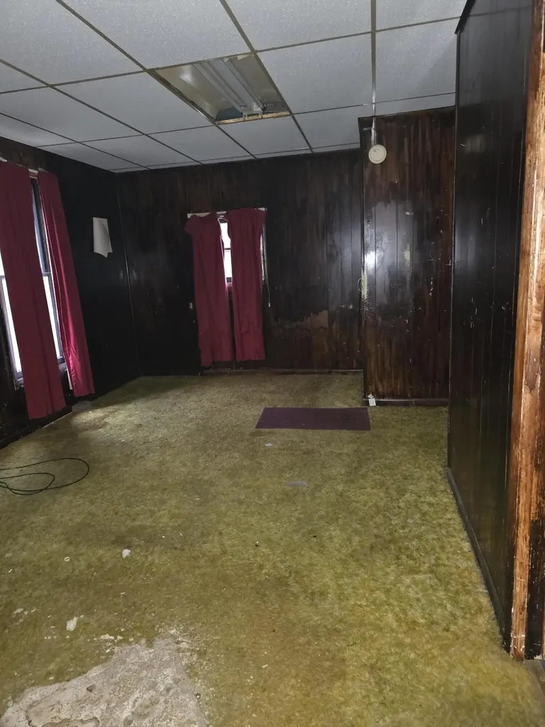 113 W Walnut Street Albion Township MI 49224