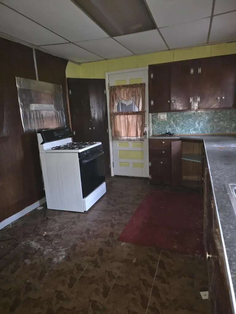 113 W Walnut Street Albion Township MI 49224