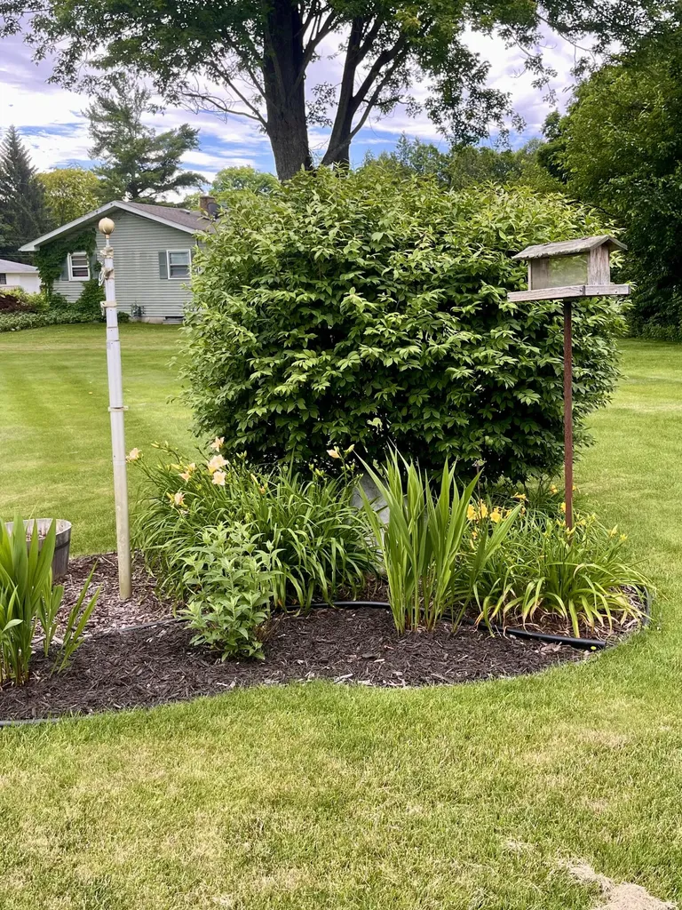 146 Squaw Creek Road Marshall Township MI 49068