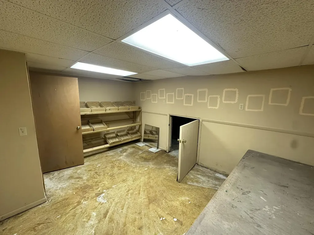 310 E Green Street Marshall City MI 49068