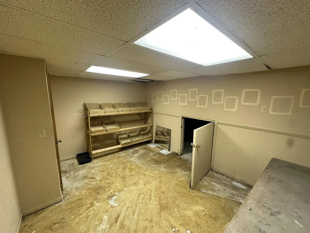 310 E Green Street Marshall City MI 49068