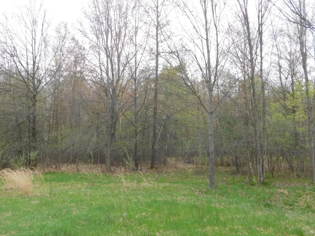 14540 Schroeder Road Brant Township MI 48655