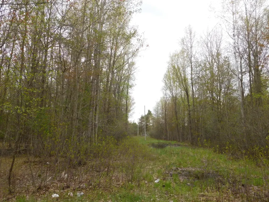 14540 Schroeder Road Brant Township MI 48655